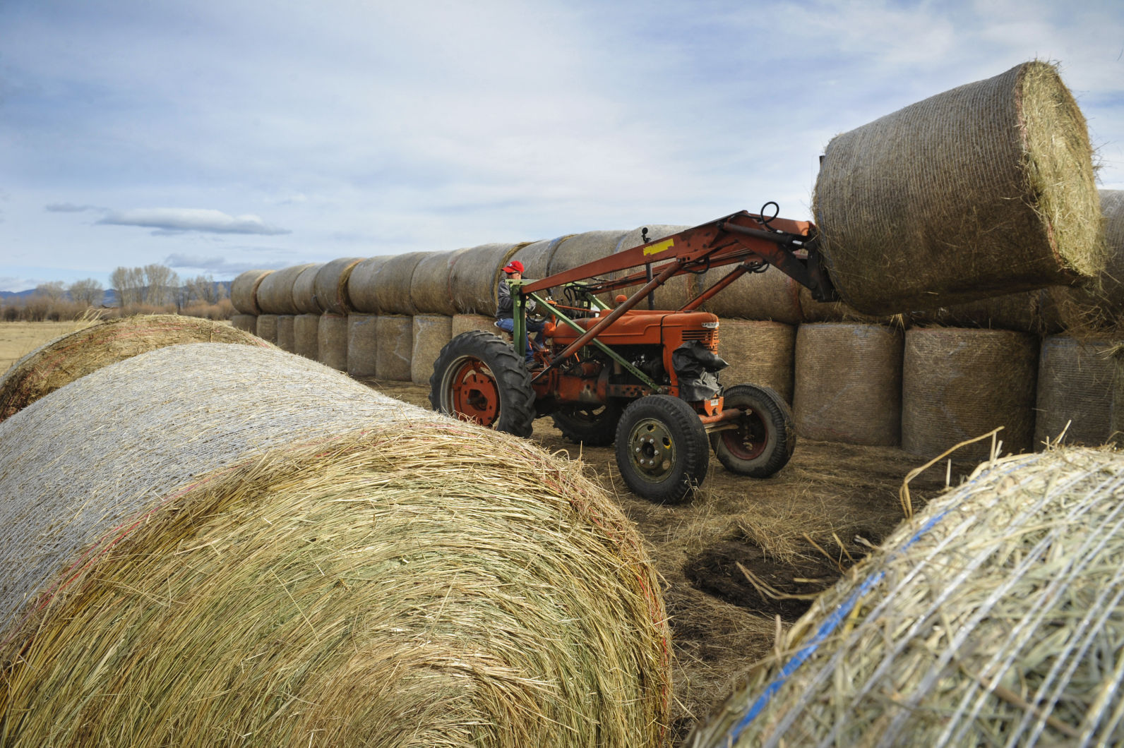 Hay bales